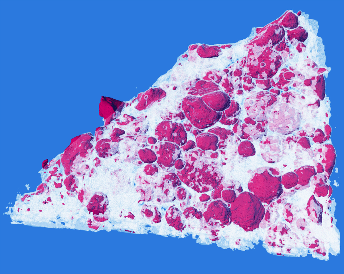 Image of a single particle of synthetic soil, shaped like a white trapezoid covered in red circles. The red circles represent liquid metal particles, the white represents starch and other minerals.